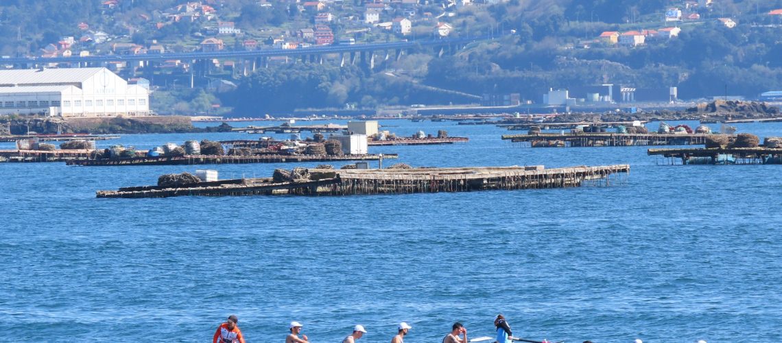 650035563_1529816052483007_8979636303563048643_n