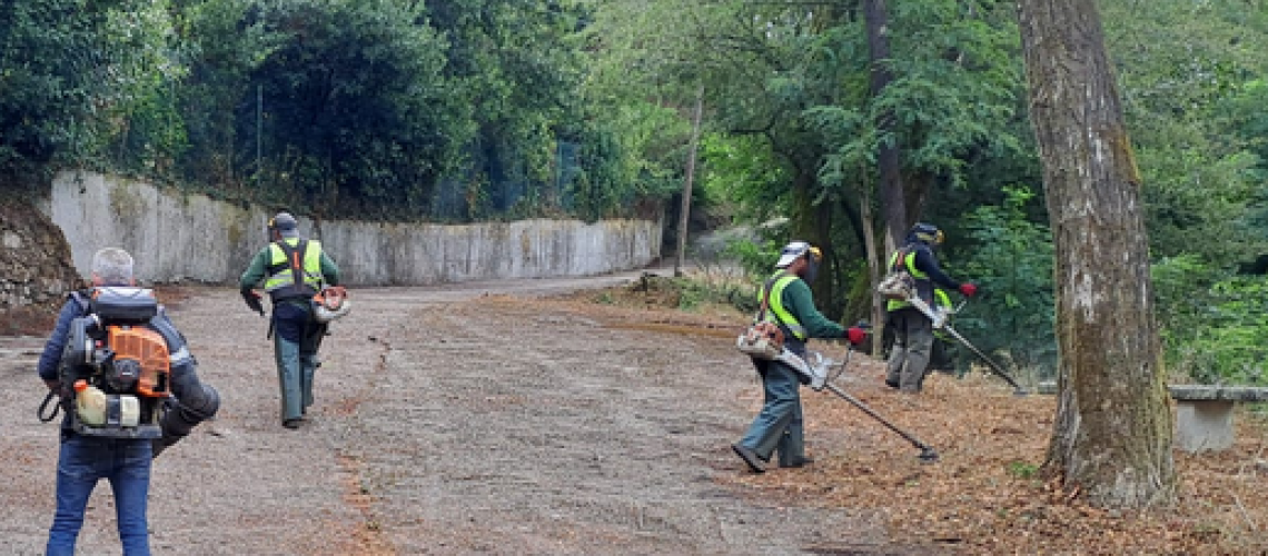 Captura de pantalla 2026-03-04 134159