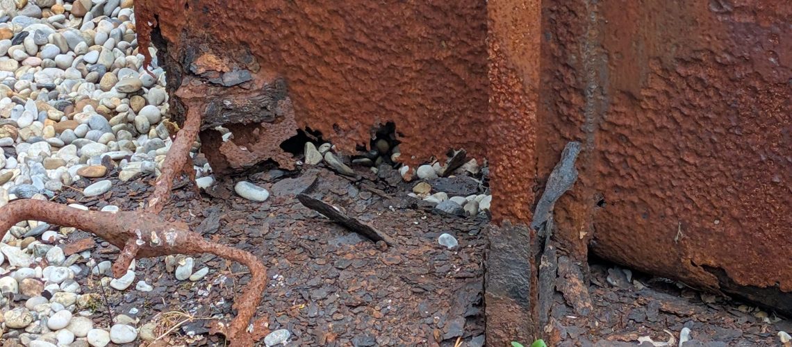 PXL_20250826_094212976