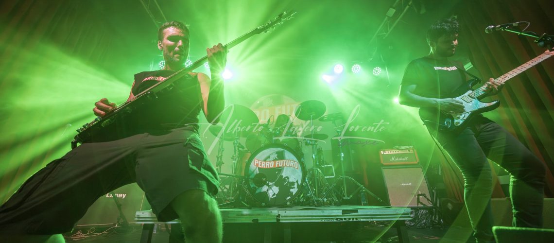 Perro Futuro_Foto escenario 2 (1)