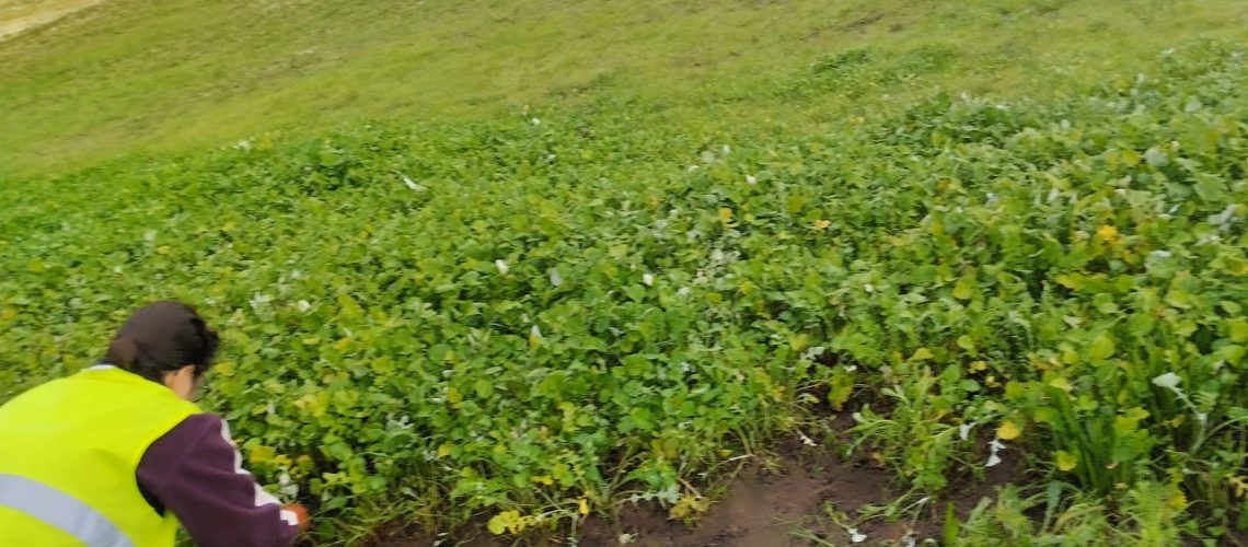 WhatsApp Image 2026-02-23 at 16.20.49