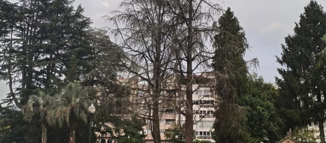 alameda alén nós