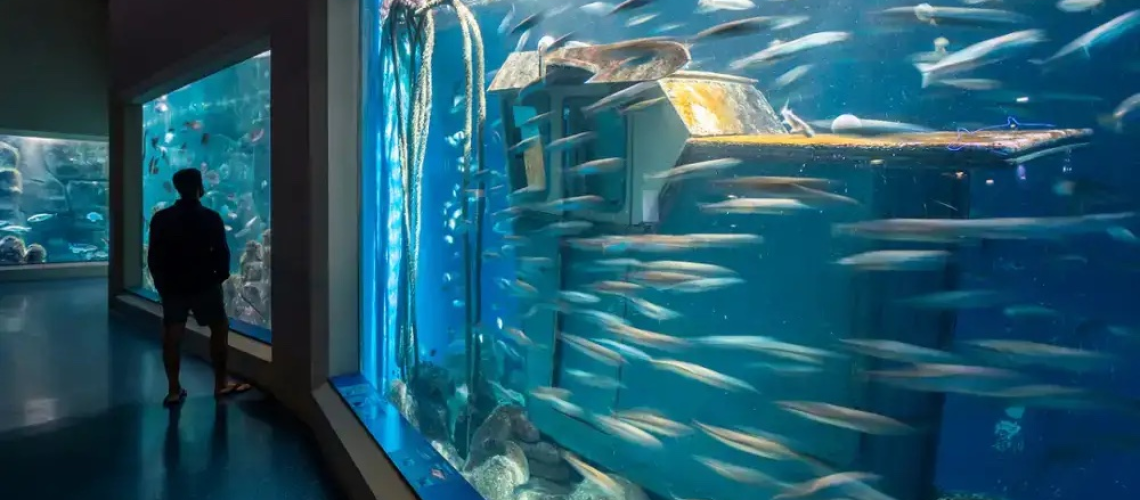 aquarium