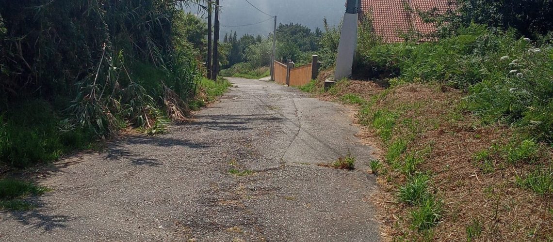 camiño 2