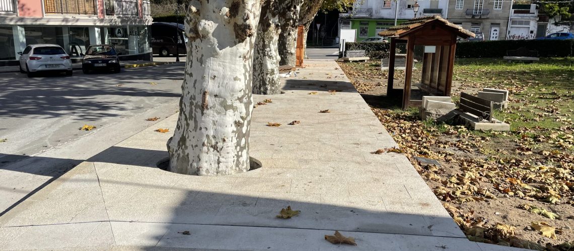 campo feira arcade pp