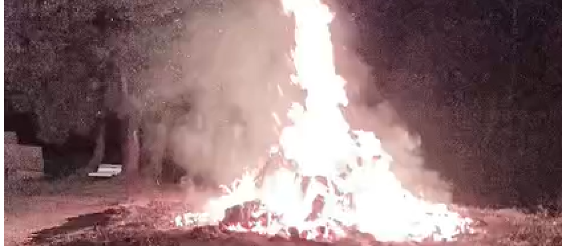 fogueira cesantes