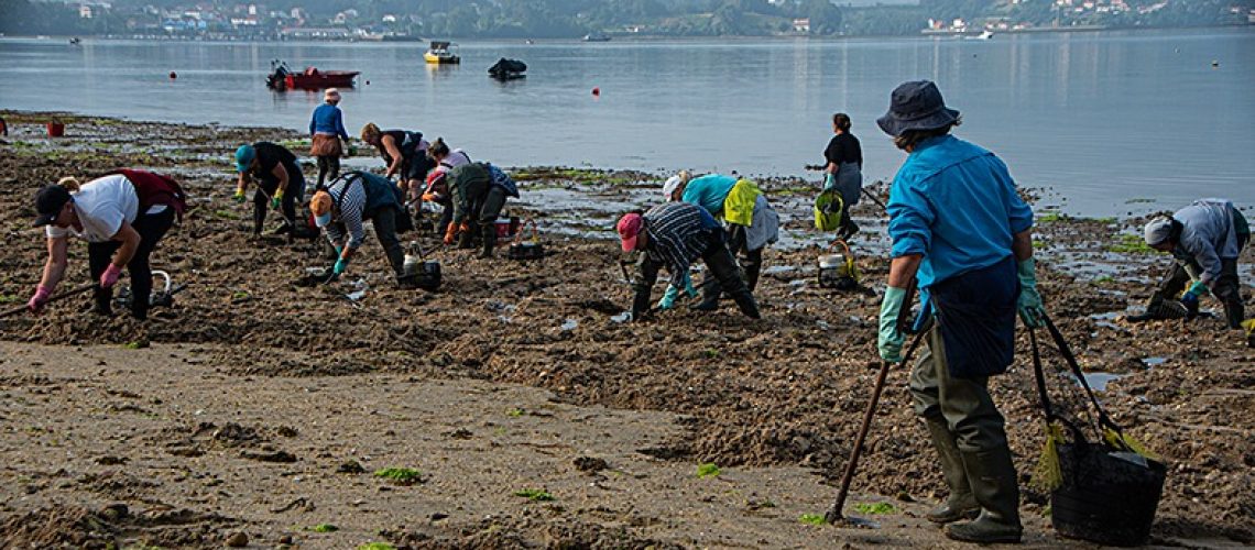 mariscadoras