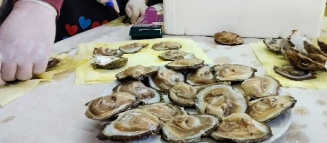 ostra