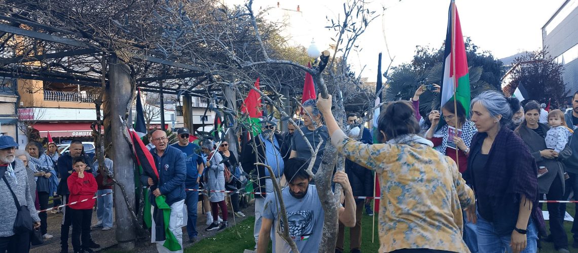 palestina oliveira