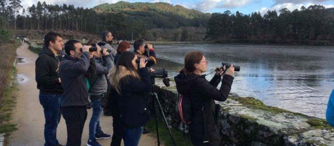 turismo de observación