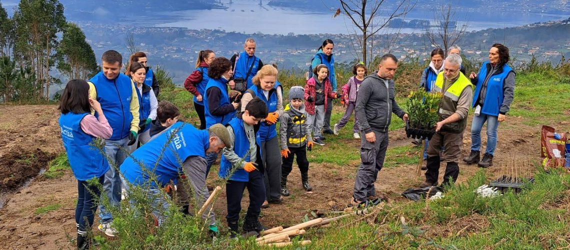 voluntarios viso